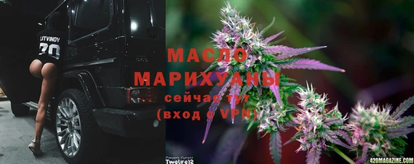 метадон Инта