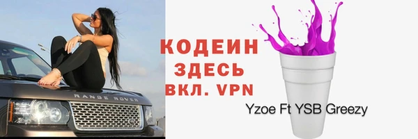 метадон Инта