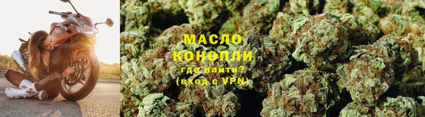 метадон Инта