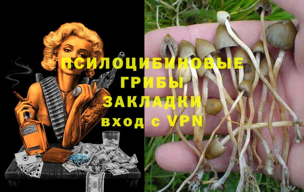 метадон Инта