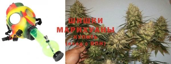 метадон Инта