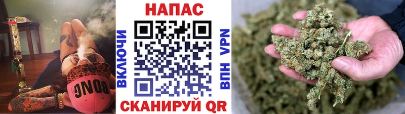 Купить где  Отрадное  МАРИХУАНА конопля 